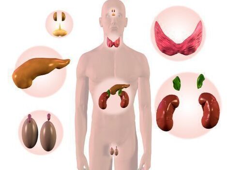 endokrin sistem organları ve sedef hastalığı